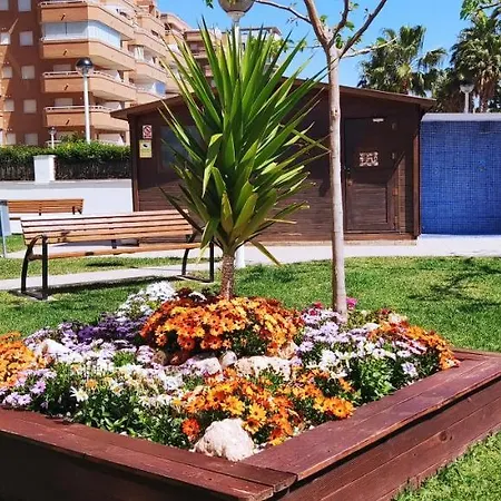 Apartment Acv Primera Linea